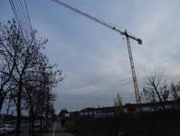 Imagine atasata: Vivalia - Bulbuca - 2015.11.15 - 01.jpg